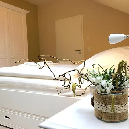 Haus Sterntaucher 7 Apartamento Thiessow