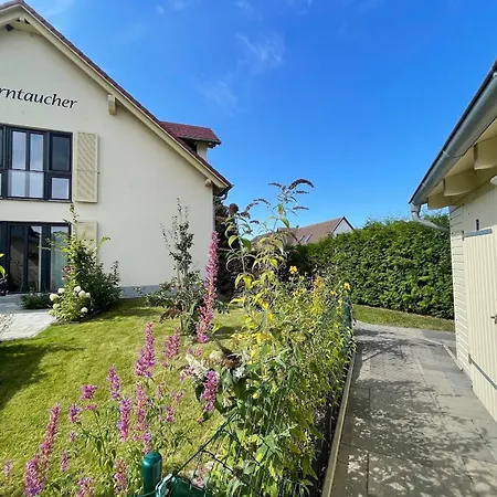 Haus Sterntaucher 7 アパート *