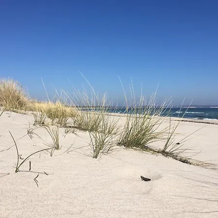 Apartamento Haus Sterntaucher 7 Thiessow