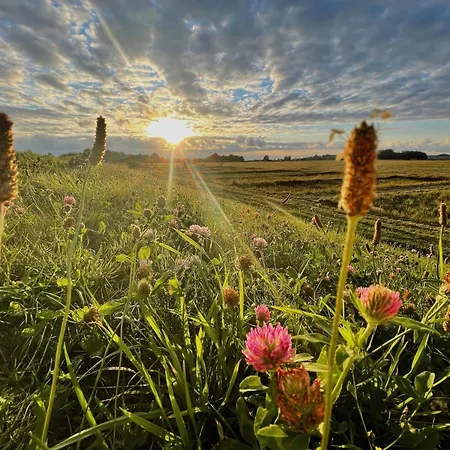 Apartamento Haus Sterntaucher 7 Thiessow