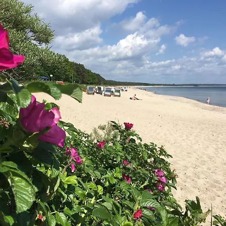 Apartamento Haus Sterntaucher 7